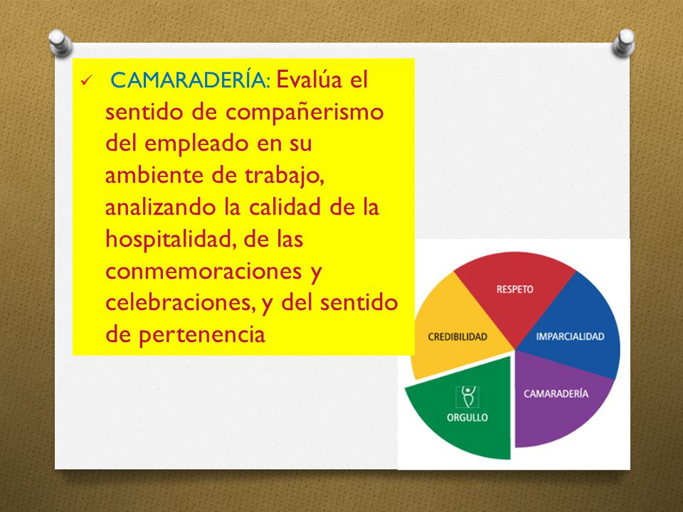 CAMARADERÍA: Evalúa el sentido de compañerismo del empleado en su ambiente de trabajo, analizando la calidad de la hospitalidad, de las conmemoraciones y celebraciones, y del sentido de pertenencia