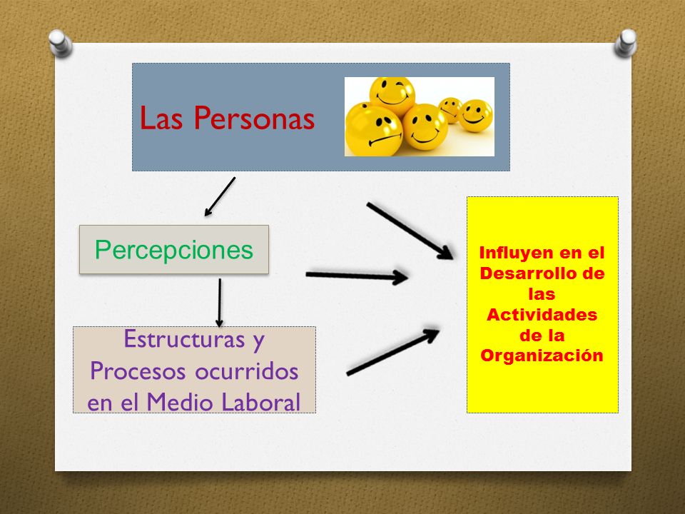 Influyen en el Desarrollo de las Actividades de la Organización