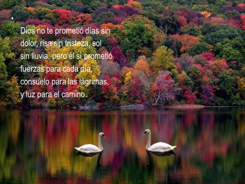 Dios no te prometió días sin dolor, risa sin tristeza, sol sin lluvia, pero él sí prometió fuerzas para cada día, consuelo para las lágrimas, y luz para el camino.