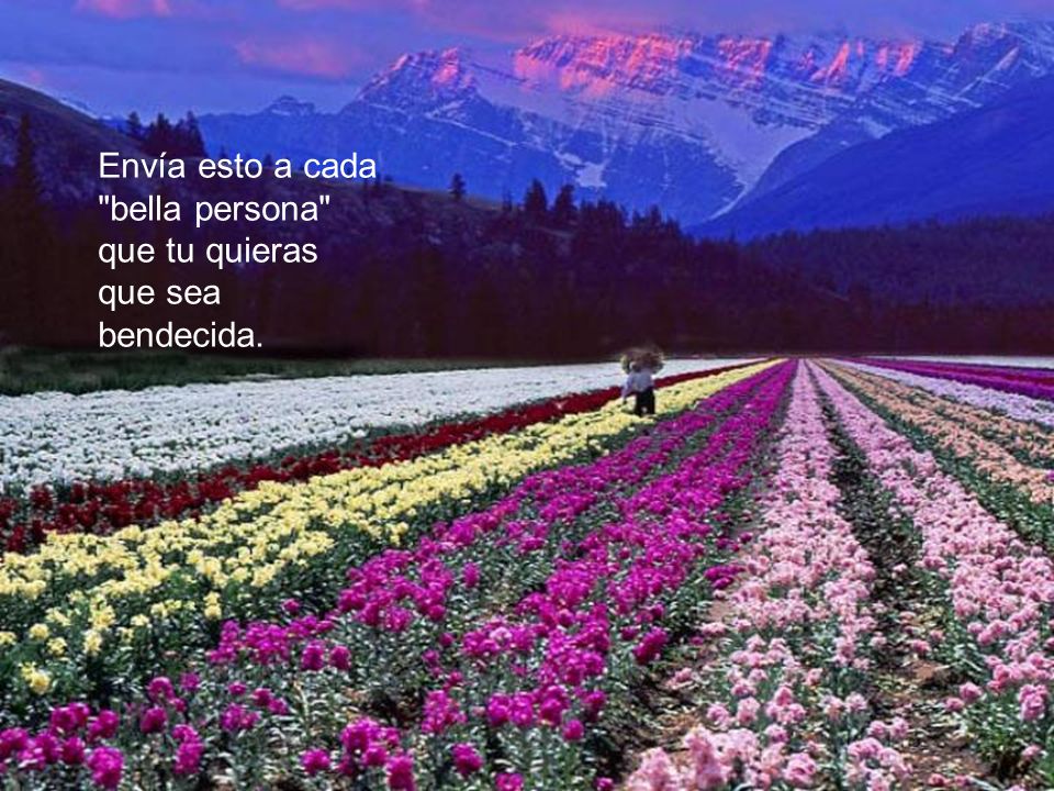 Envía esto a cada bella persona que tu quieras que sea bendecida.