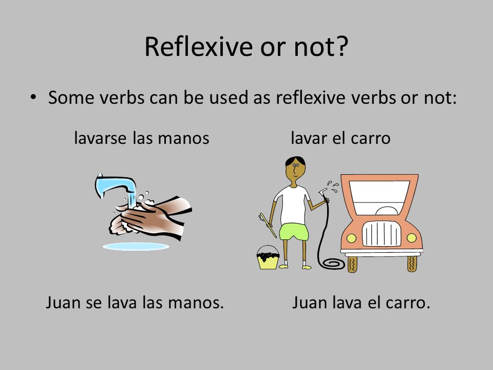 Reflexive or not Some verbs can be used as reflexive verbs or not: