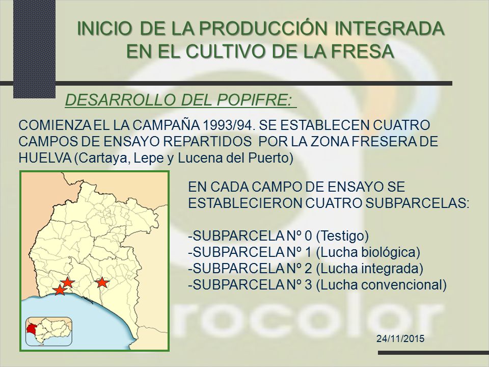INICIO DE LA PRODUCCIÓN INTEGRADA EN EL CULTIVO DE LA FRESA