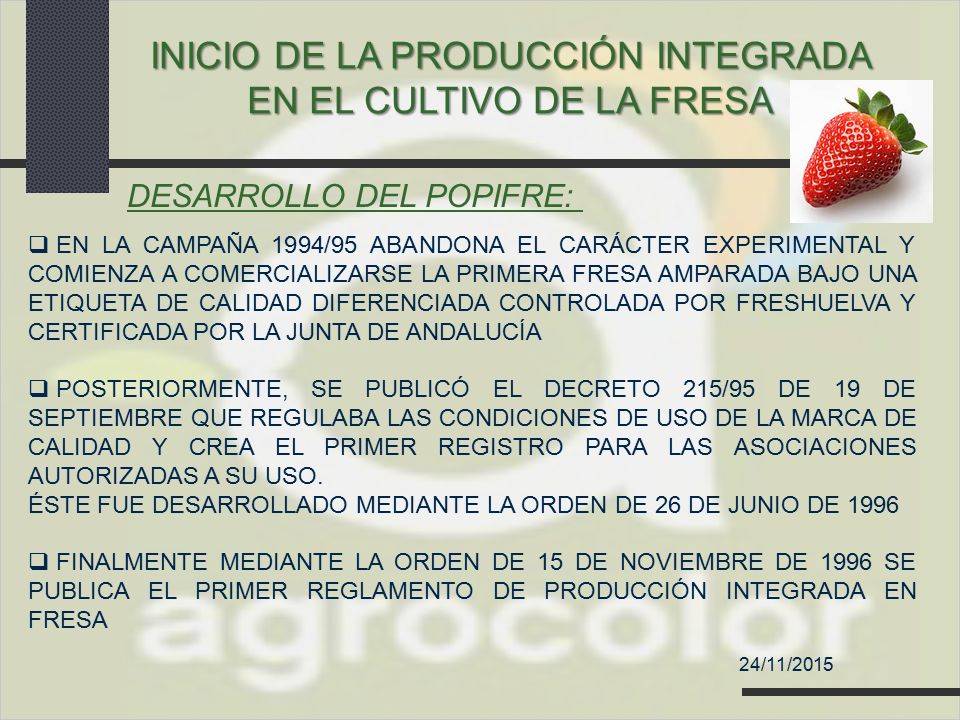 INICIO DE LA PRODUCCIÓN INTEGRADA EN EL CULTIVO DE LA FRESA