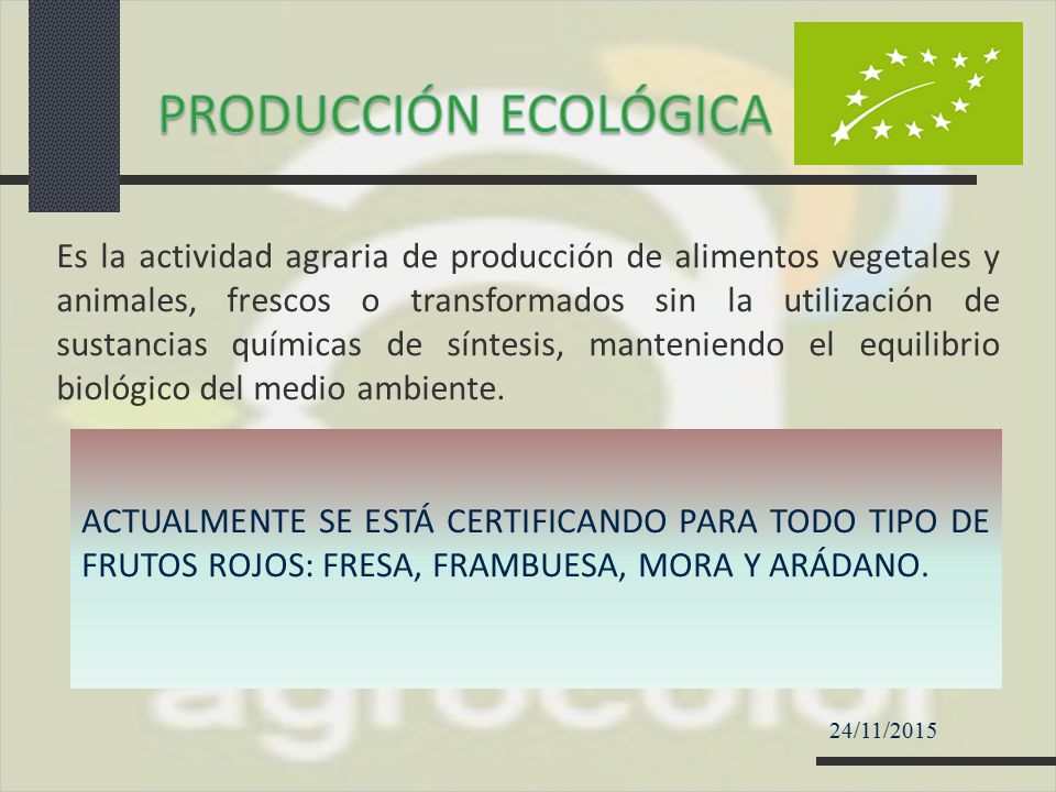 PRODUCCIÓN ECOLÓGICA
