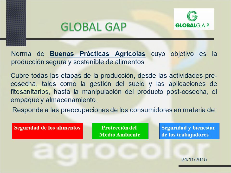 GLOBAL GAP Norma de Buenas Prácticas Agrícolas cuyo objetivo es la producción segura y sostenible de alimentos.