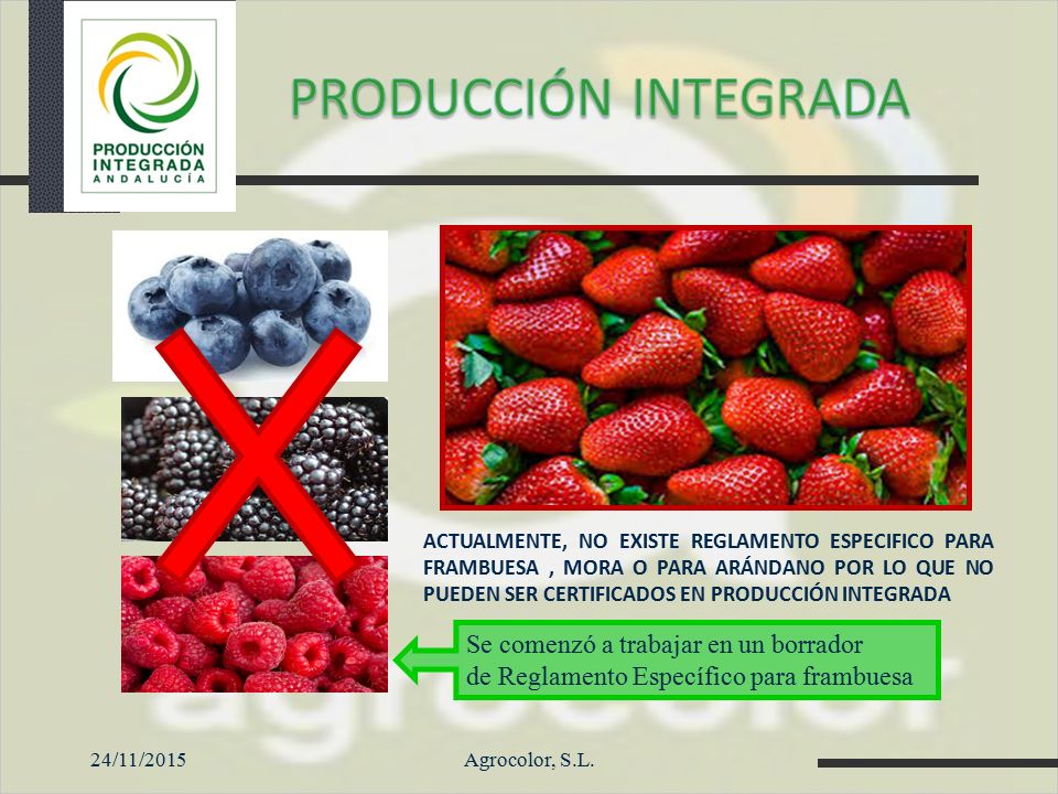 PRODUCCIÓN INTEGRADA Se comenzó a trabajar en un borrador