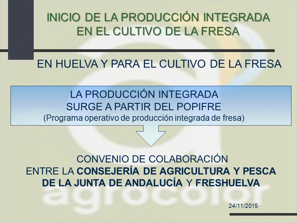 INICIO DE LA PRODUCCIÓN INTEGRADA EN EL CULTIVO DE LA FRESA