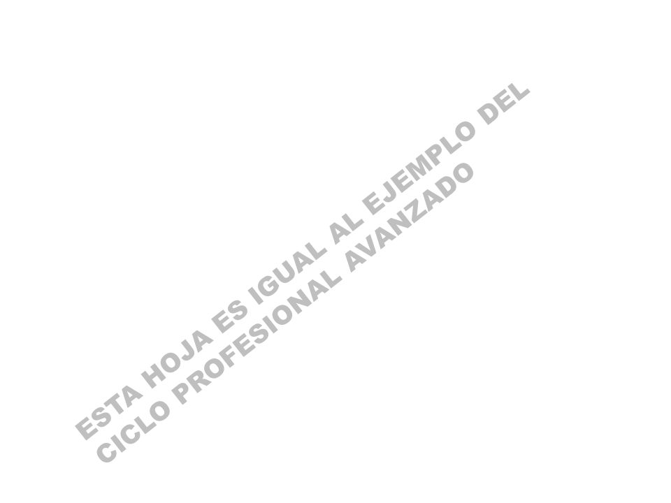 ESTA HOJA ES IGUAL AL EJEMPLO DEL CICLO PROFESIONAL AVANZADO