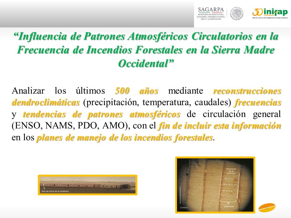 Influencia de Patrones Atmosféricos Circulatorios en la Frecuencia de Incendios Forestales en la Sierra Madre Occidental