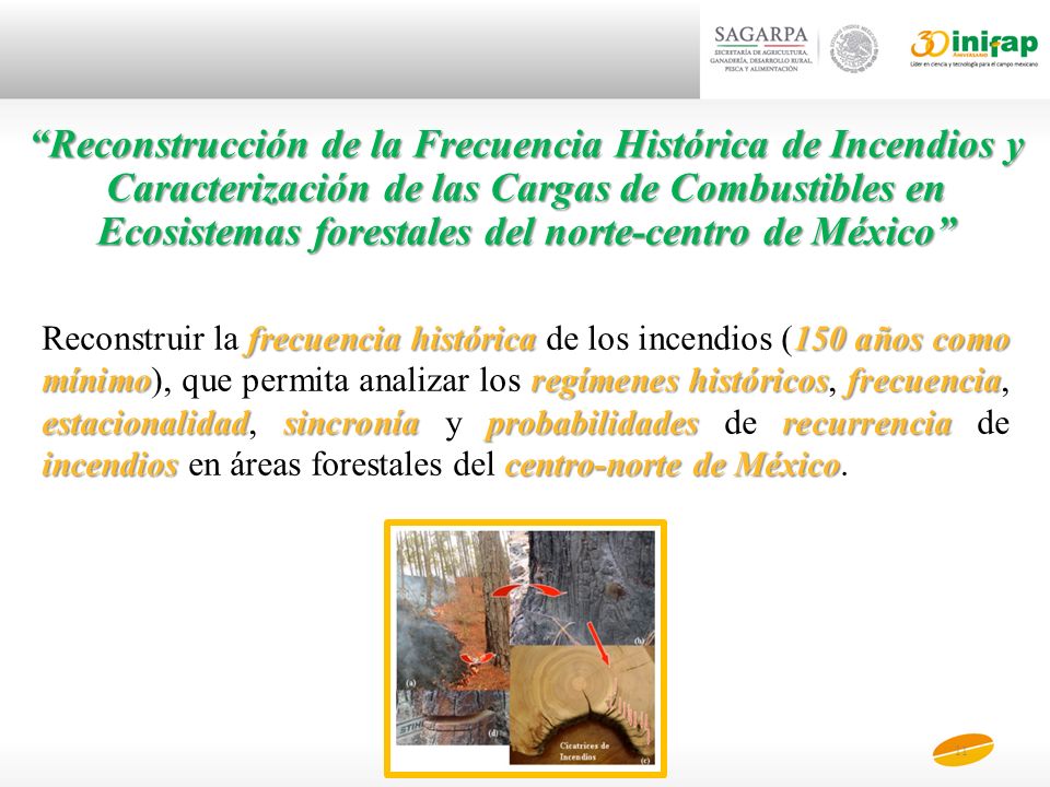 Reconstrucción de la Frecuencia Histórica de Incendios y Caracterización de las Cargas de Combustibles en Ecosistemas forestales del norte-centro de México