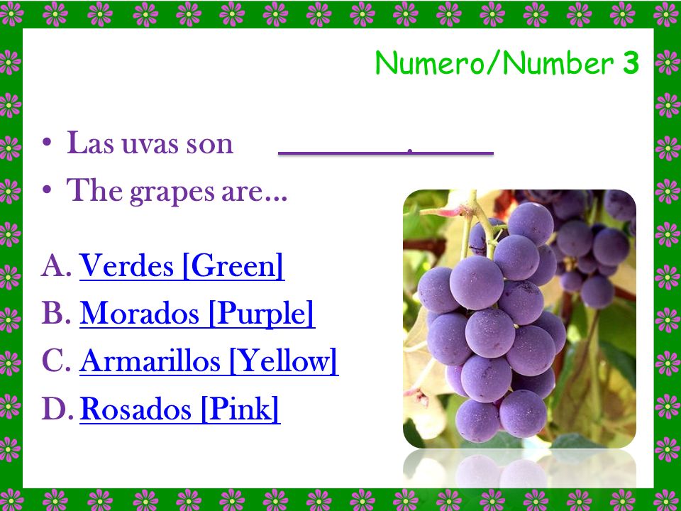 Las uvas son . The grapes are... Verdes [Green] Morados [Purple]