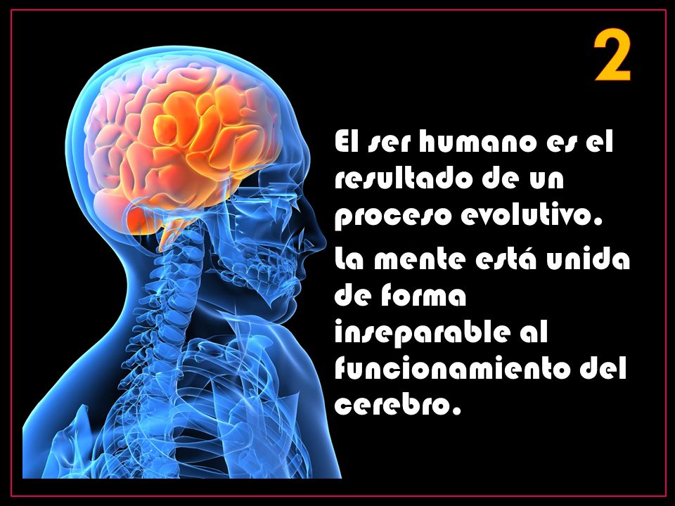 2 El ser humano es el resultado de un proceso evolutivo.