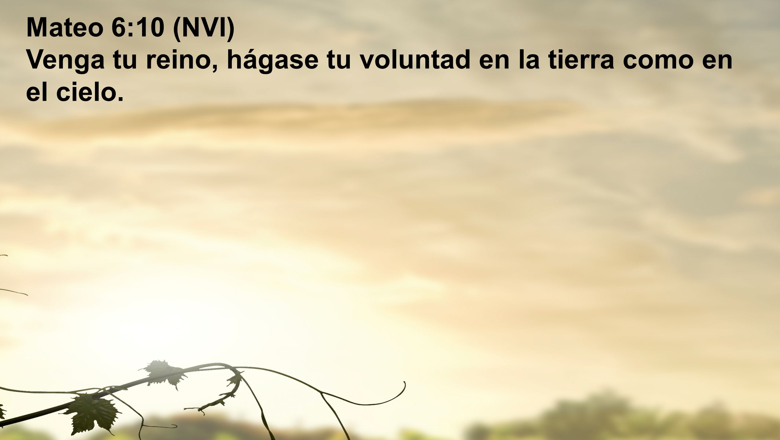 Mateo 6:10 (NVI) Venga tu reino, hágase tu voluntad en la tierra como en el cielo.