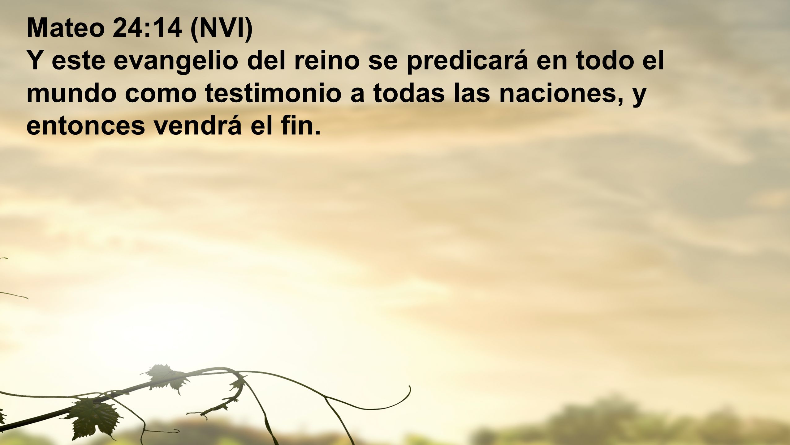 Mateo 24:14 (NVI) Y este evangelio del reino se predicará en todo el mundo como testimonio a todas las naciones, y entonces vendrá el fin.
