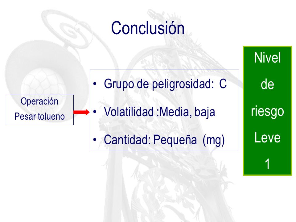 Conclusión Nivel de riesgo Leve 1 Grupo de peligrosidad: C
