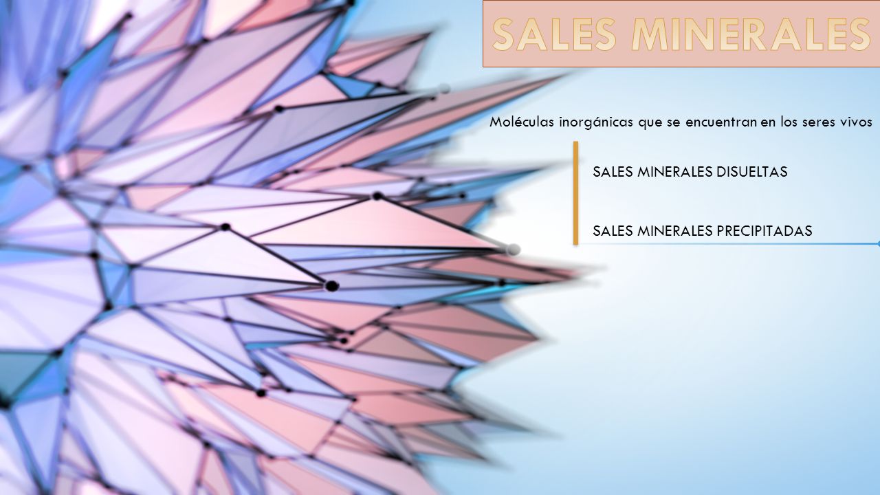 SALES MINERALES Moléculas inorgánicas que se encuentran en los seres vivos. SALES MINERALES DISUELTAS.