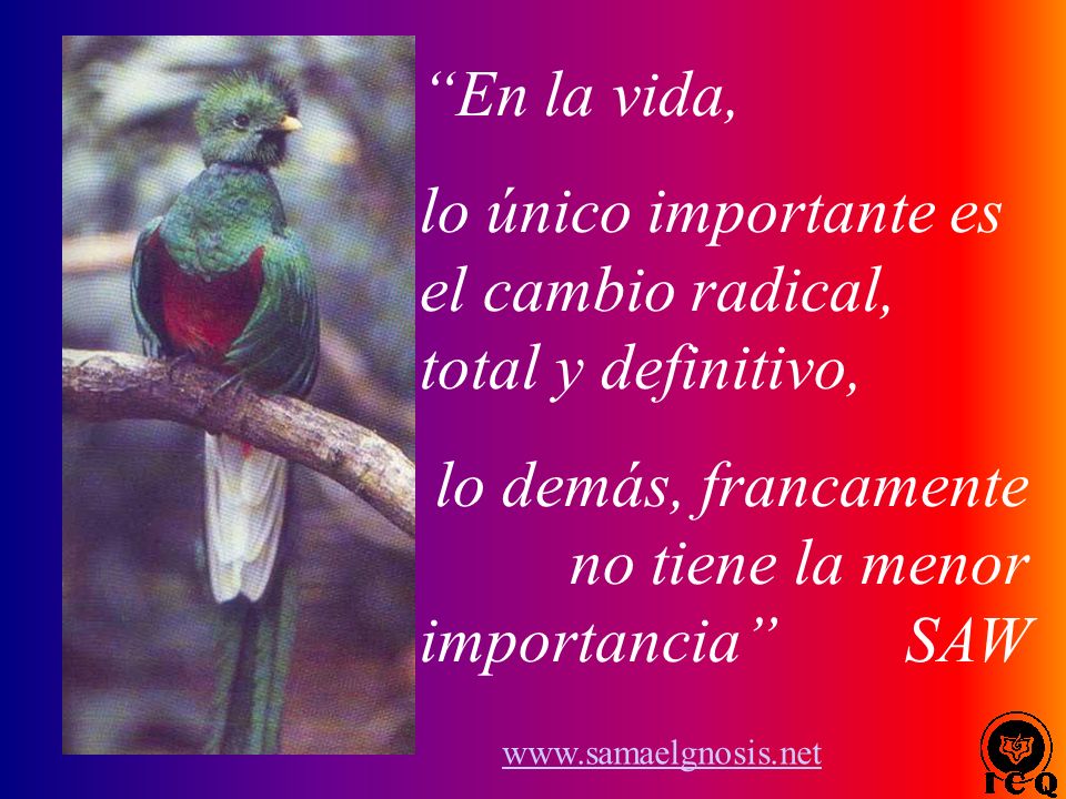 lo único importante es el cambio radical, total y definitivo,