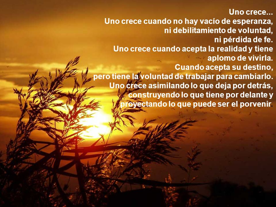 Uno crece... Uno crece cuando no hay vacío de esperanza, ni debilitamiento de voluntad,