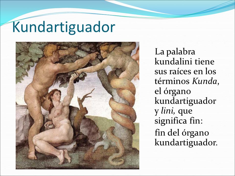 Kundartiguador La palabra kundalini tiene sus raíces en los términos Kunda, el órgano kundartiguador y lini, que significa fin: