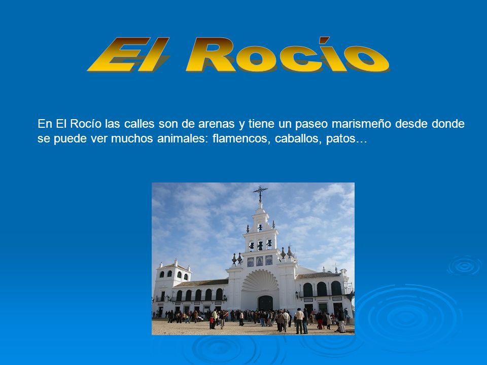 El Rocío En El Rocío las calles son de arenas y tiene un paseo marismeño desde donde se puede ver muchos animales: flamencos, caballos, patos…