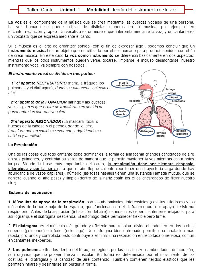 Taller: Canto Unidad: 1 Modalidad: Teoría del instrumento de la voz