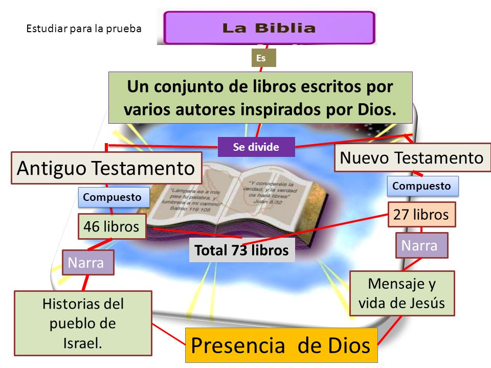 Un conjunto de libros escritos por varios autores inspirados por Dios.