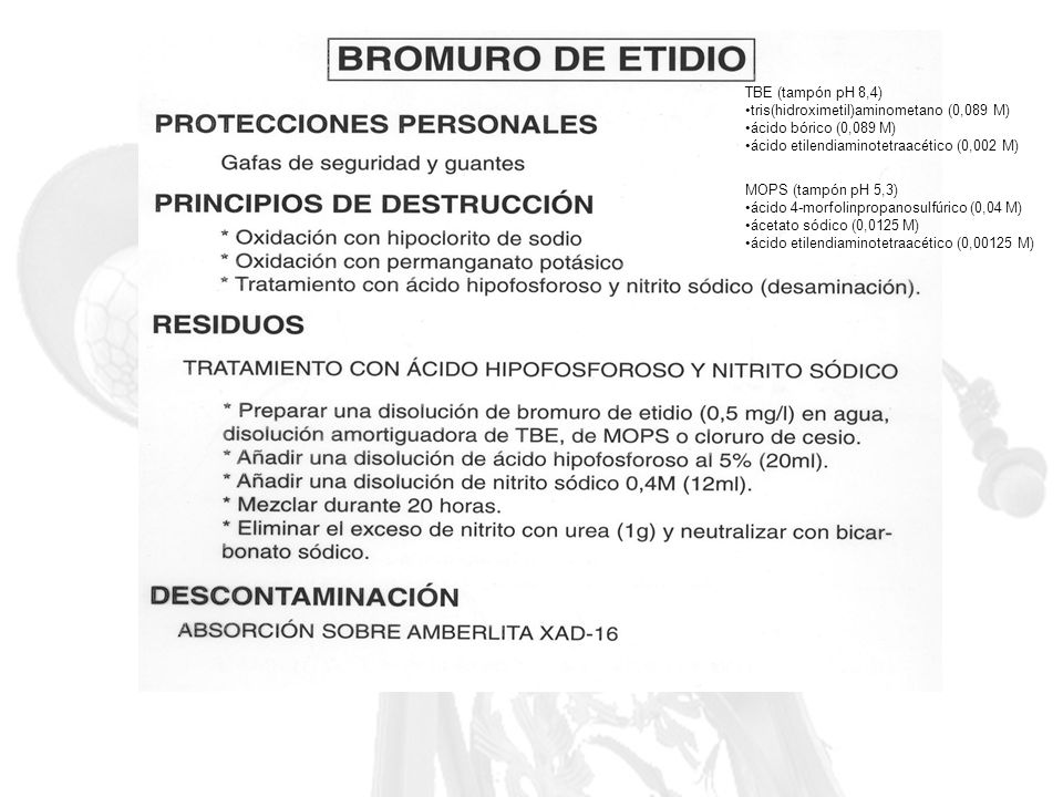 TBE (tampón pH 8,4) tris(hidroximetil)aminometano (0,089 M) ácido bórico (0,089 M) ácido etilendiaminotetraacético (0,002 M)
