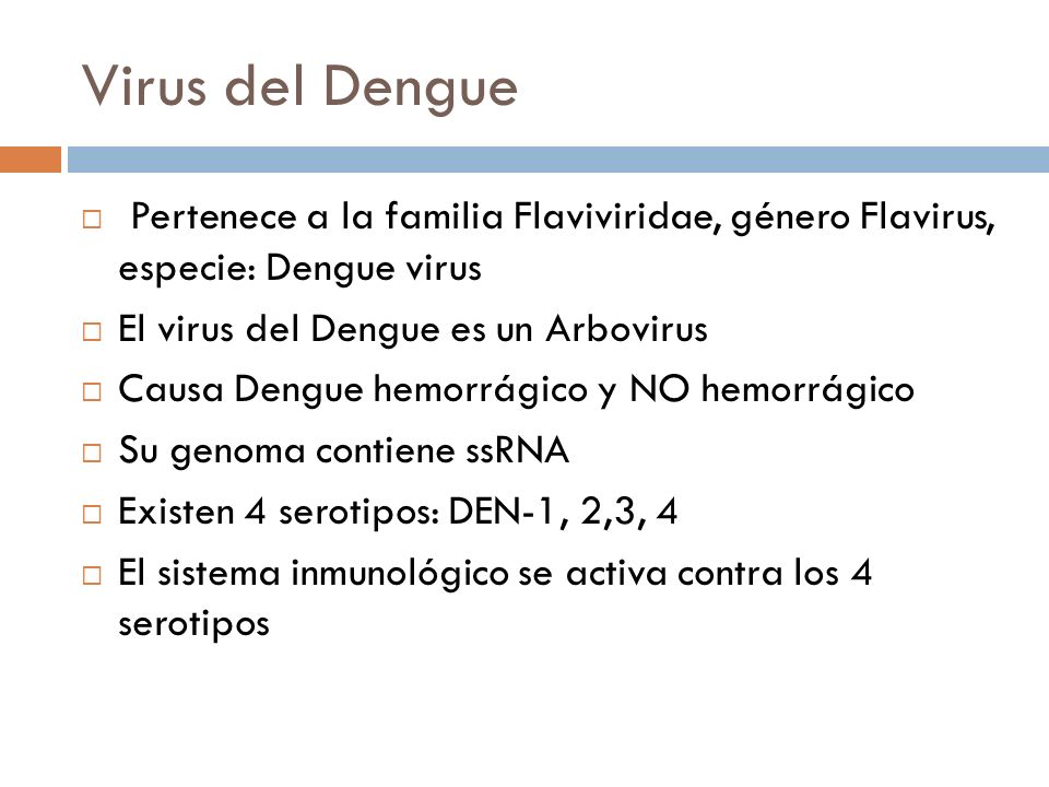 Virus del Dengue Pertenece a la familia Flaviviridae, género Flavirus, especie: Dengue virus. El virus del Dengue es un Arbovirus.