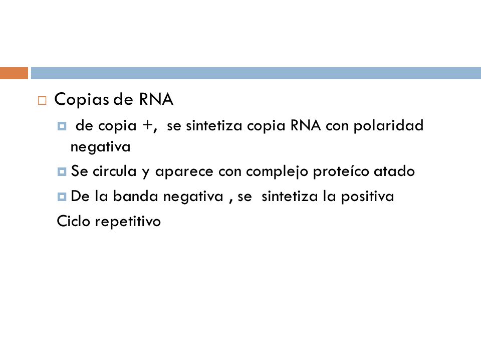 Copias de RNA de copia +, se sintetiza copia RNA con polaridad negativa. Se circula y aparece con complejo proteíco atado.