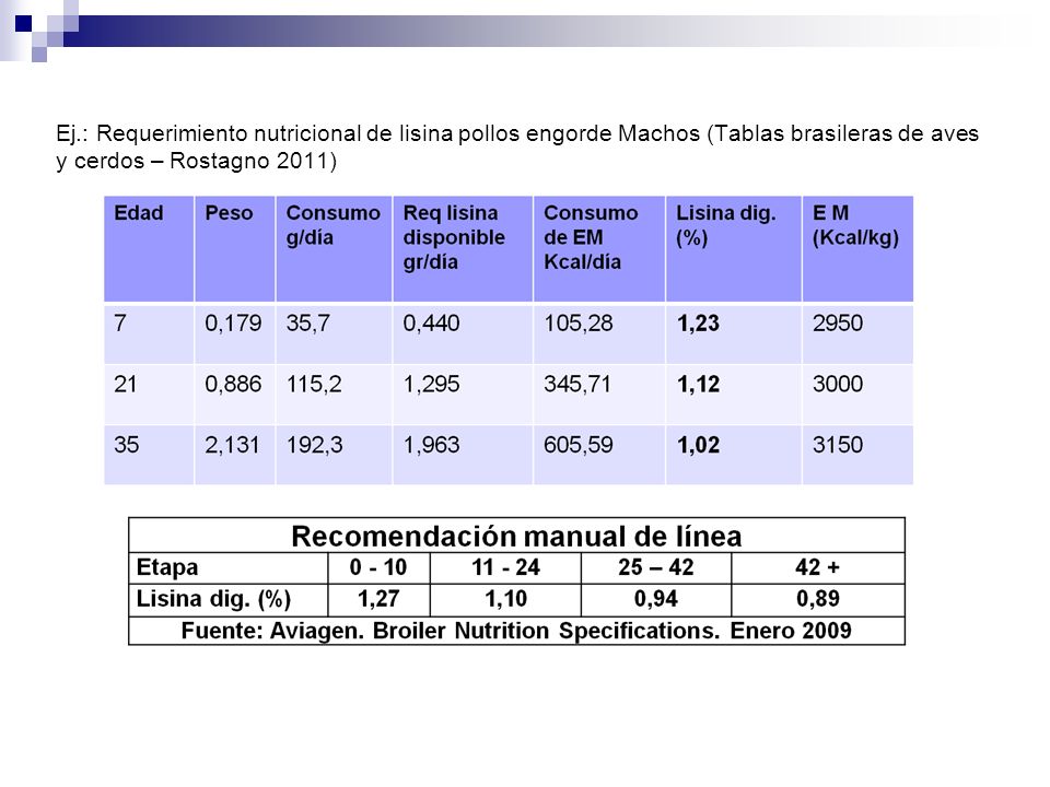 Ej.: Requerimiento nutricional de lisina pollos engorde Machos (Tablas brasileras de aves y cerdos – Rostagno 2011)