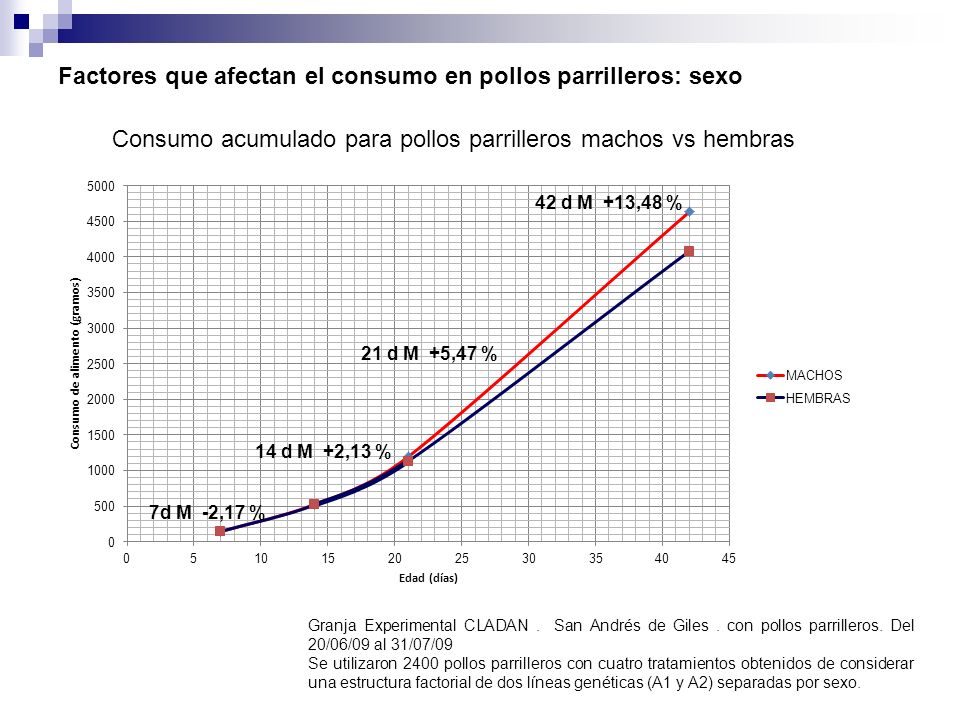 Factores que afectan el consumo en pollos parrilleros: sexo