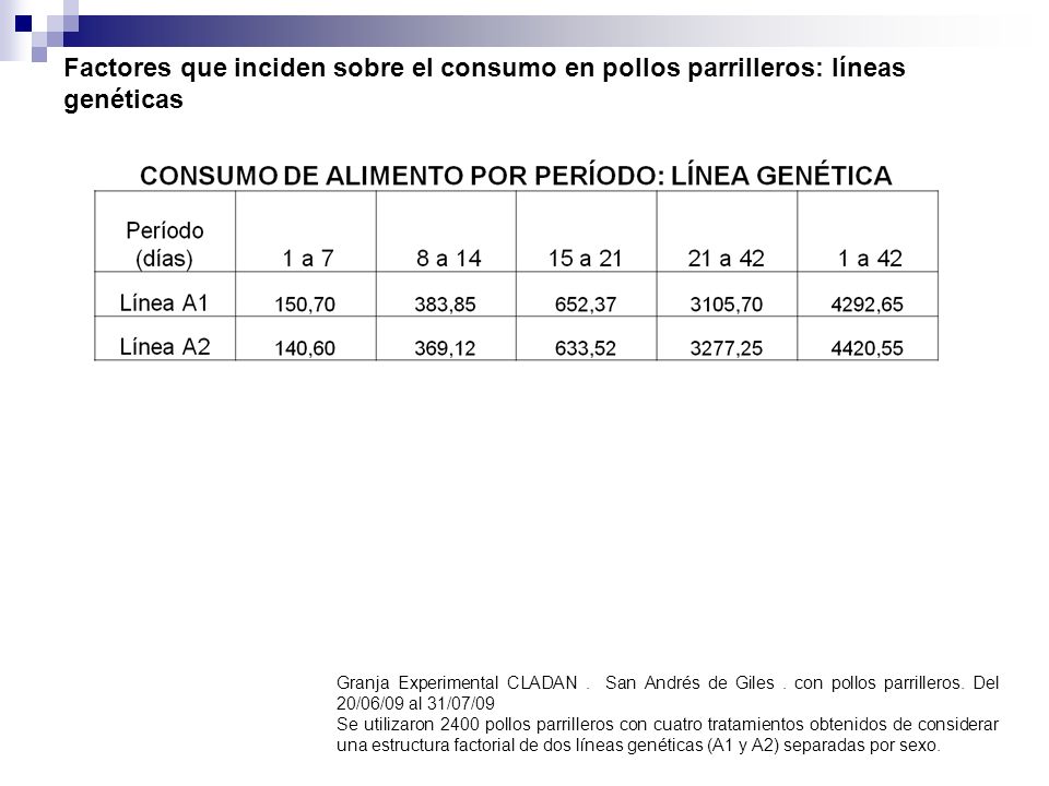 Factores que inciden sobre el consumo en pollos parrilleros: líneas genéticas