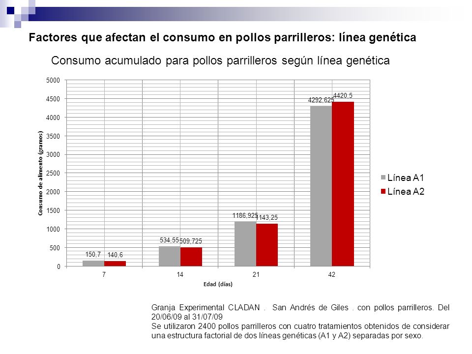 Factores que afectan el consumo en pollos parrilleros: línea genética