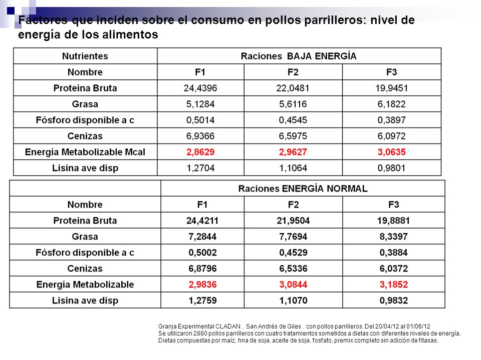 Factores que inciden sobre el consumo en pollos parrilleros: nivel de energía de los alimentos