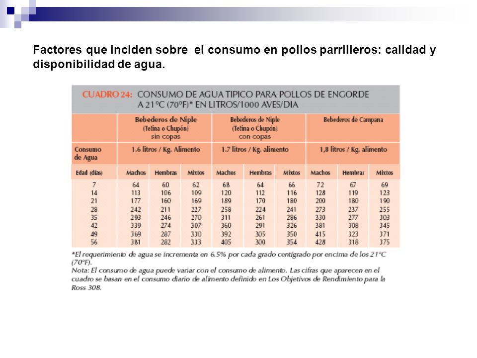 Factores que inciden sobre el consumo en pollos parrilleros: calidad y disponibilidad de agua.