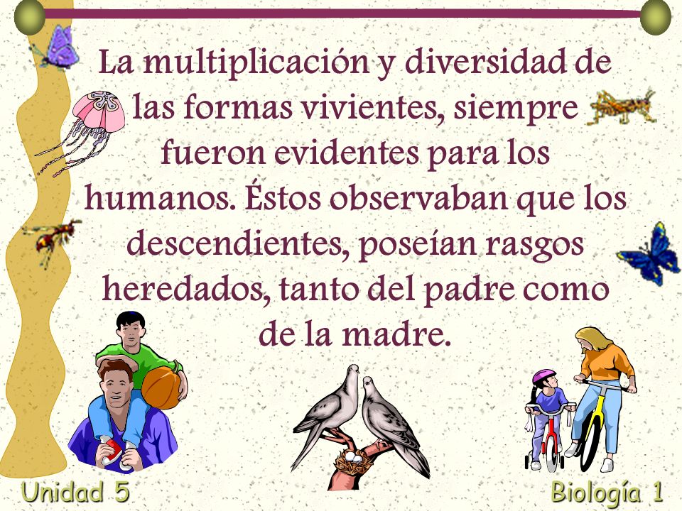 La multiplicación y diversidad de las formas vivientes, siempre fueron evidentes para los humanos.