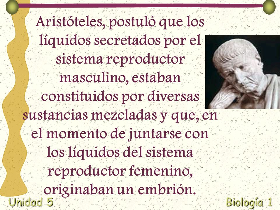 Aristóteles, postuló que los líquidos secretados por el sistema reproductor masculino, estaban constituidos por diversas sustancias mezcladas y que, en el momento de juntarse con los líquidos del sistema reproductor femenino, originaban un embrión.