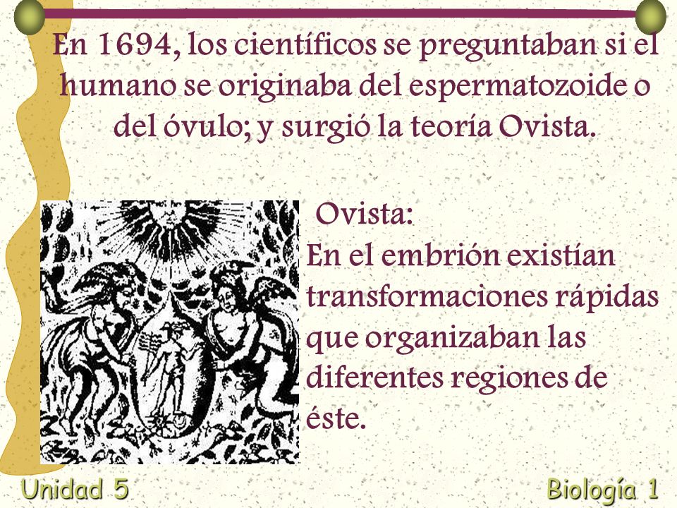 En 1694, los científicos se preguntaban si el humano se originaba del espermatozoide o del óvulo; y surgió la teoría Ovista.