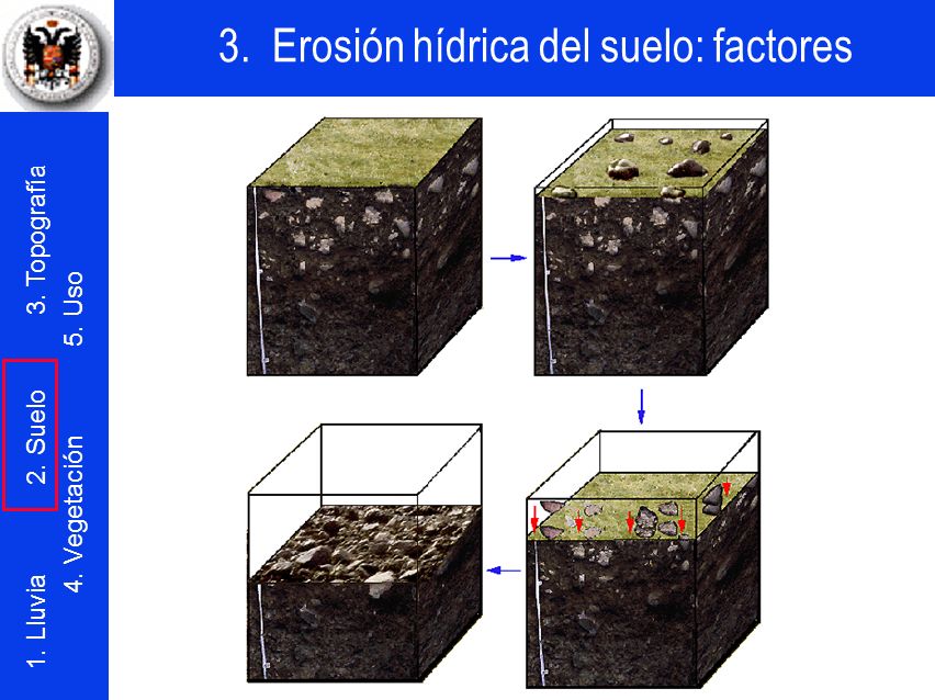 Al erosionarse las fracciones finas, las gravas y las piedras van concentrándose sobre la superficie del terreno.