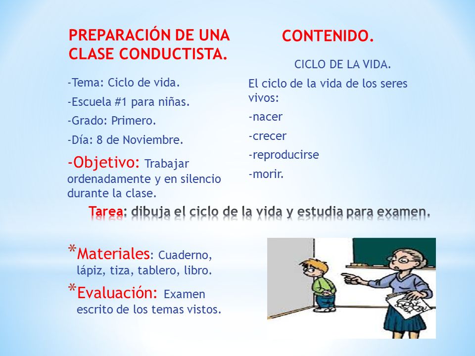 Tarea: dibuja el ciclo de la vida y estudia para examen.