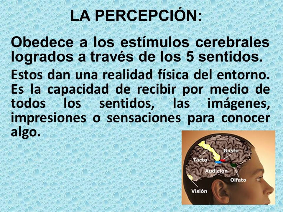 LA PERCEPCIÓN: Obedece a los estímulos cerebrales logrados a través de los 5 sentidos.