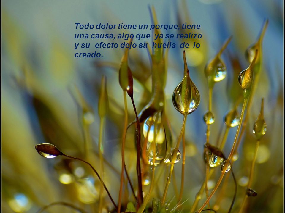 Todo dolor tiene un porque, tiene una causa, algo que ya se realizo y su efecto dejo su huella de lo creado.