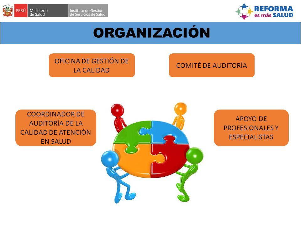 ORGANIZACIÓN OFICINA DE GESTIÓN DE LA CALIDAD COMITÉ DE AUDITORÍA