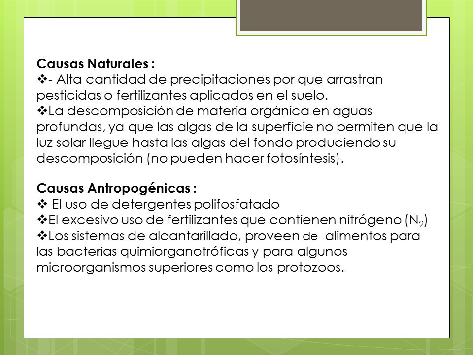 Causas Naturales : - Alta cantidad de precipitaciones por que arrastran pesticidas o fertilizantes aplicados en el suelo.