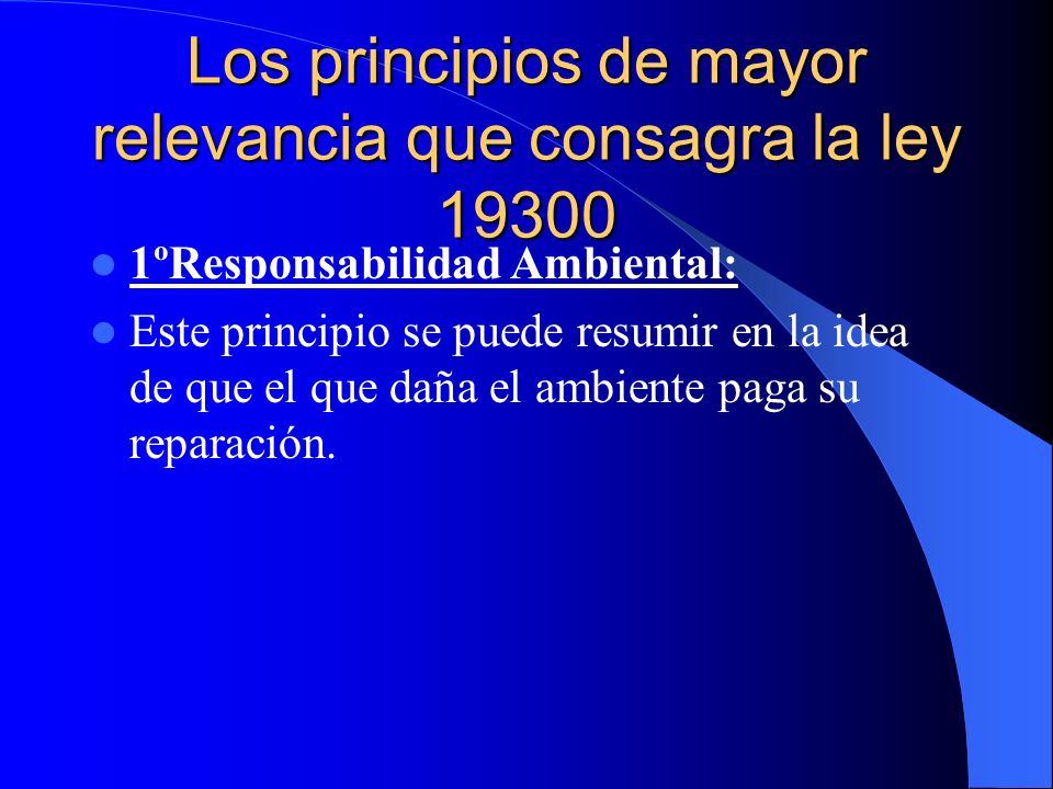 Los principios de mayor relevancia que consagra la ley 19300