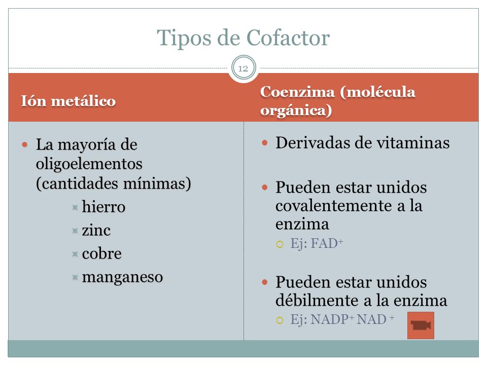 Tipos de Cofactor Derivadas de vitaminas