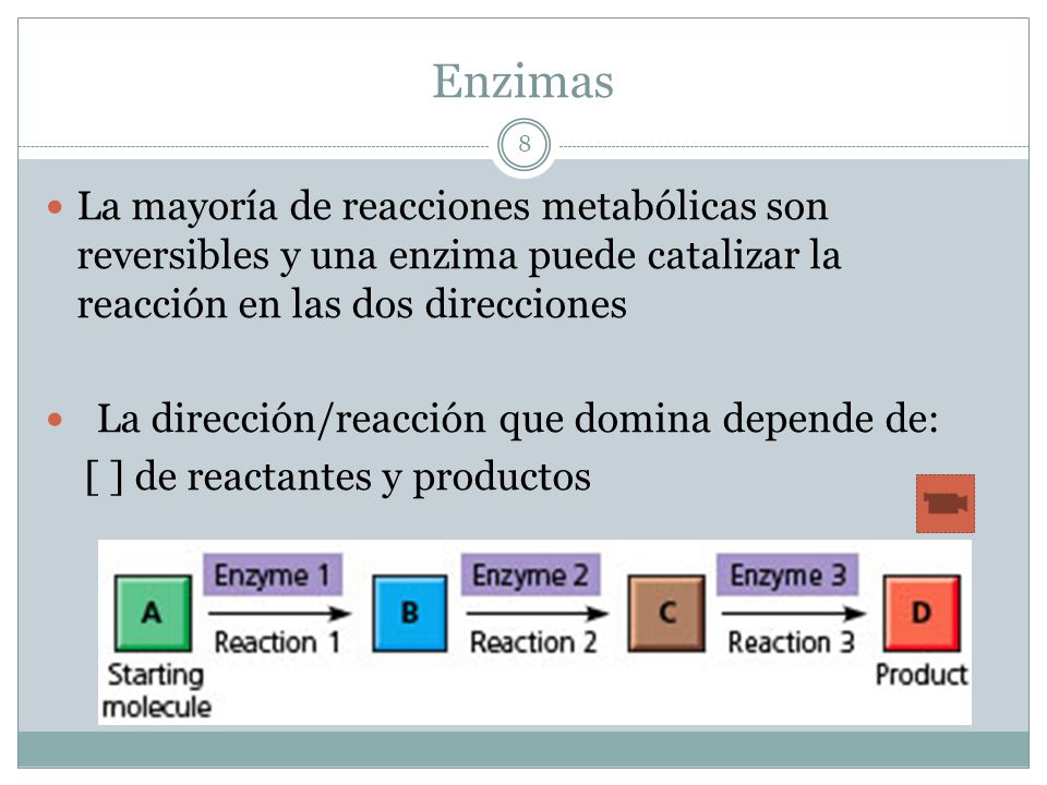 Enzimas La mayoría de reacciones metabólicas son reversibles y una enzima puede catalizar la reacción en las dos direcciones.
