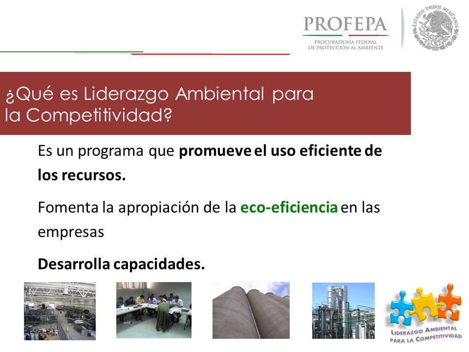 ¿Qué es Liderazgo Ambiental para la Competitividad