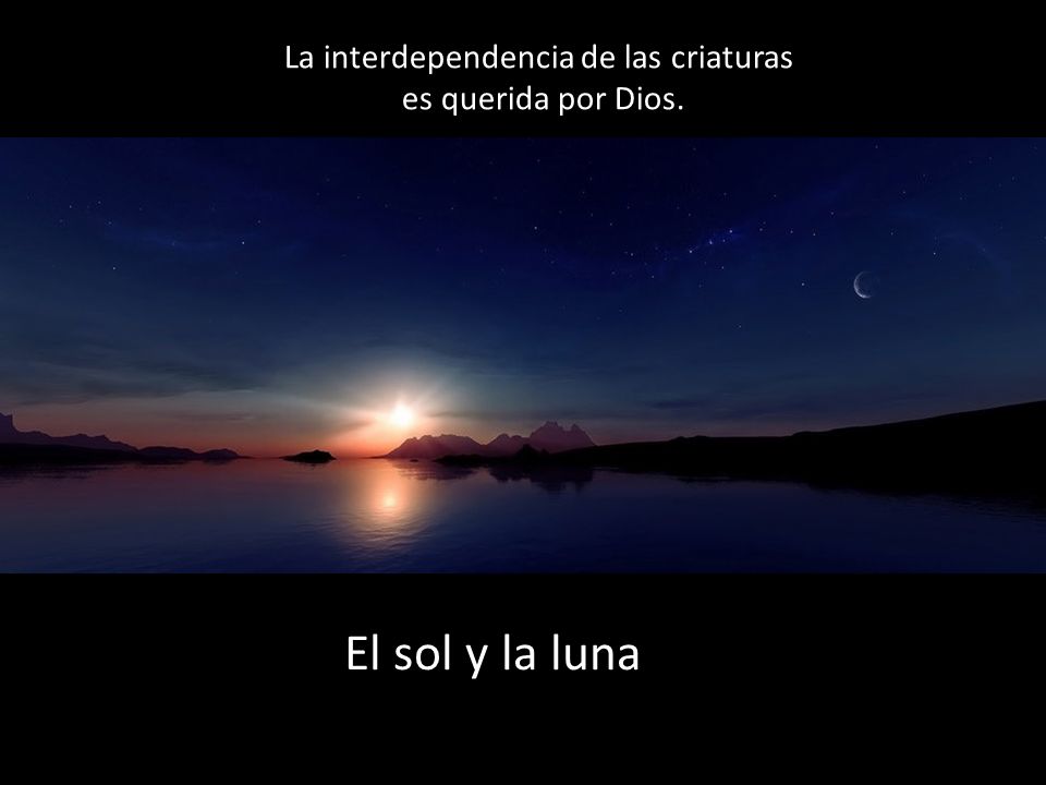 El sol y la luna La interdependencia de las criaturas