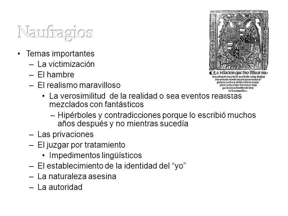 Temas importantes La victimización. El hambre. El realismo maravilloso.